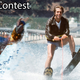 Image for article titled 'Shop Contest: King Shark, Winners!
